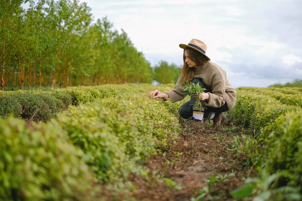 Top earning urban growers and sustainable farmers