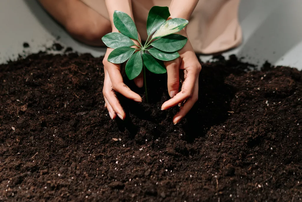World Nature Conservation Day events