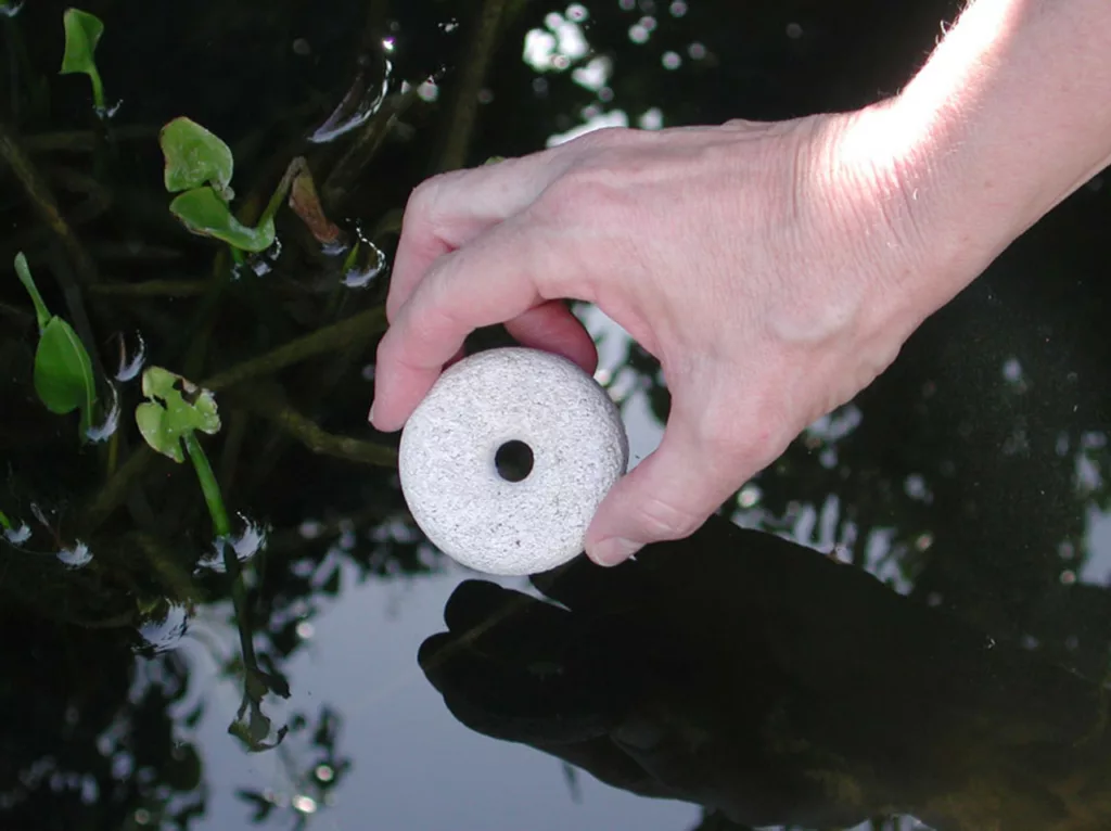 Eco-friendly mosquito dunks for ponds