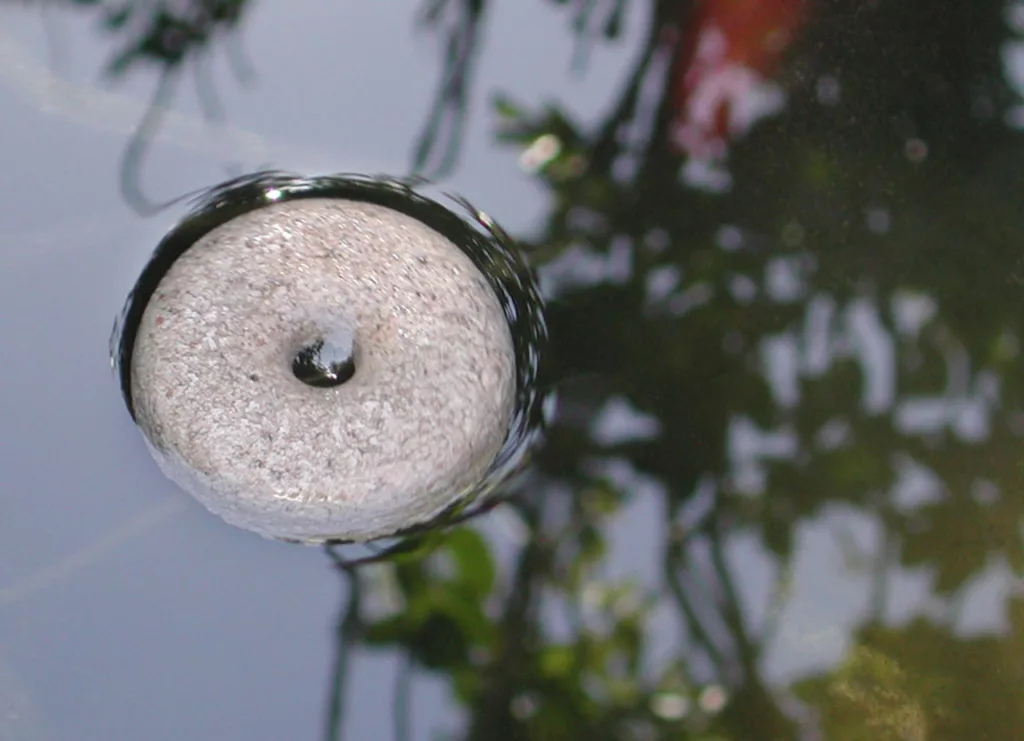 Best mosquito dunks for standing water