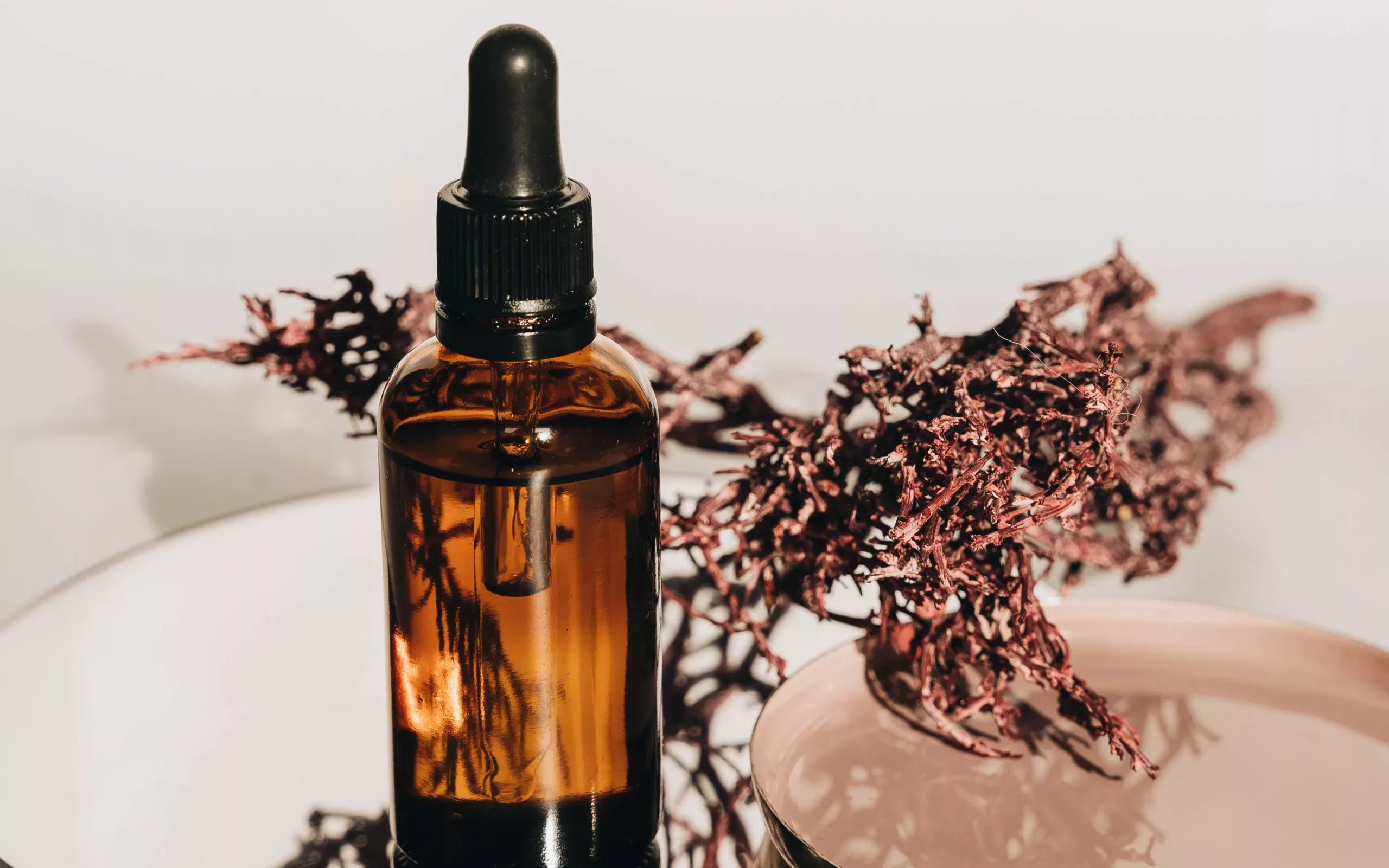 Top Sustainable Carrier Oils for Healthy Hair