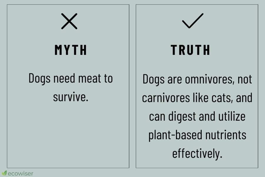 vegan dog food myths vs reality