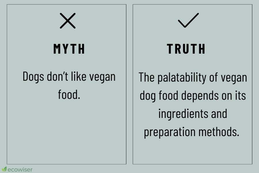 vegan dog food myth vs reality