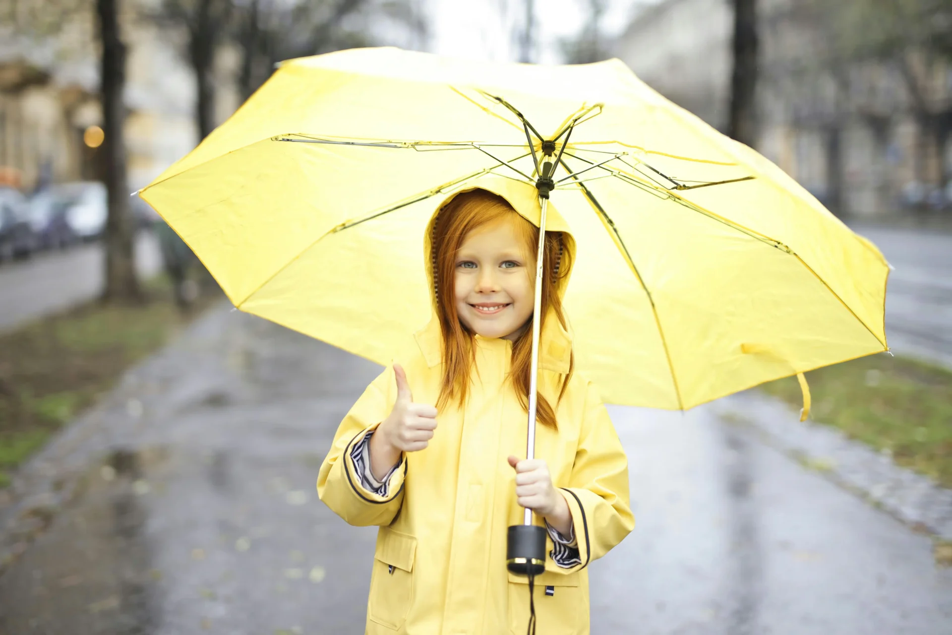 Waterproof Fabrics & Their Eco-Friendly Alternatives; The Complete Guide