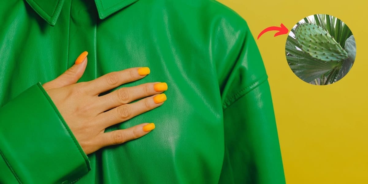 What is Cactus Leather? Let’s Talk About The Hottest Vegan Leather Trend