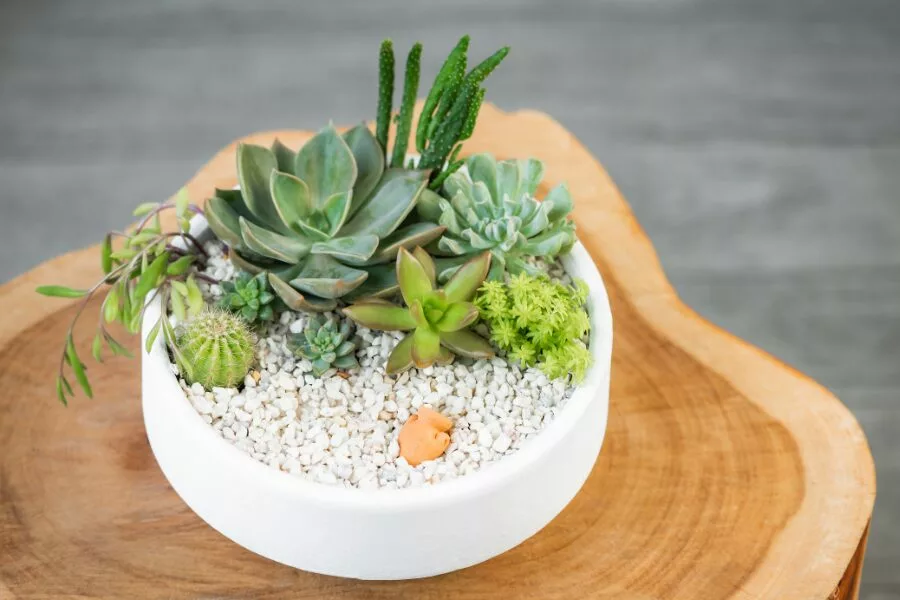 Table Top Arrangements