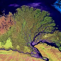 Climate Change Mitigation